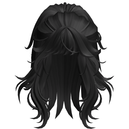 Long Half Up Layered Hair - Black
