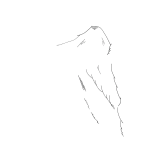Cartoon Style Angel Wings
