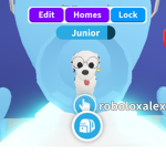 Adoptme trades only