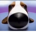 SDOIUBSF