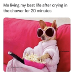 my memes are so much fun for life boi