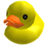 duck cIub
