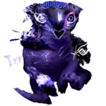 Bingus.Trr