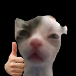 donation_frr