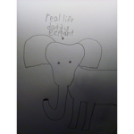 Elephants United!!