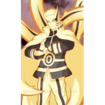 Naruto the ninja