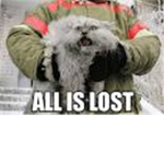 epic kitty cat