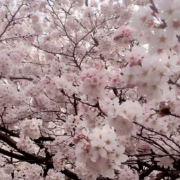 ♡