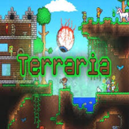 Terraria quiz