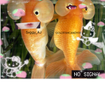 goldyfish studios