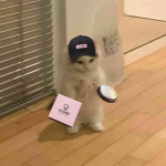 Jesus and Crumbl