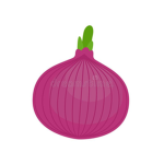 Studio Onion