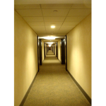group_roblox_16254914