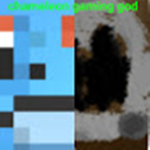 Chameleon God Gaming Fan Group