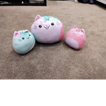 Kitten Cat Time Meow