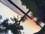 Aesthetic Macie