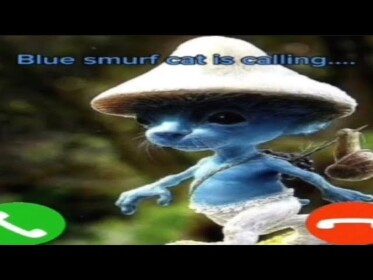 Smurf Cat Hangout 