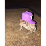 MelonGobblers