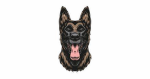 LSR K9 Group
