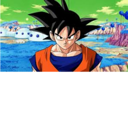 Namek1.1