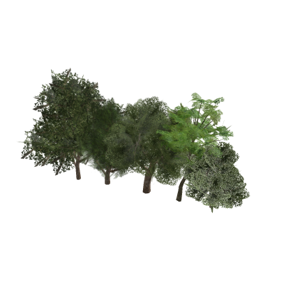 Large tree Asset Pack
