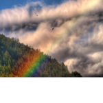 The rainbows group hi