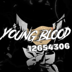 彡YoungBlood
