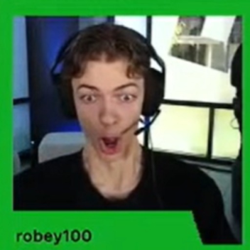 robey100 Simulator