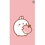 몽징이(소통 방) 잘해주시면 로벅