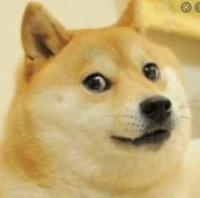 doge war