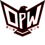 Dynamic Pro Wrestling