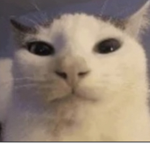 ツツツツツツ