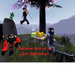 The skilled ninja fighters