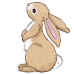 LaurasBunnyKlob