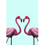 Tropical flamingo squad