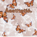 Åesthetic.