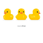 The Real Duckling Family