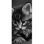 Humancats are not humans