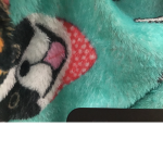 PokeHaterGroup