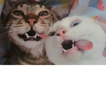- #####