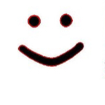 the Roblox true fun