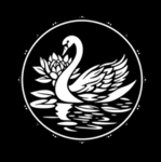 “Shimizu (清水)”