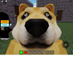 DOGE COIN TO DA MOOON