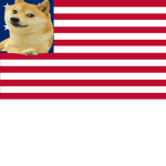 Doge the state