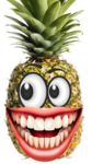 Pineapple INC,
