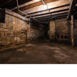 Basement mold