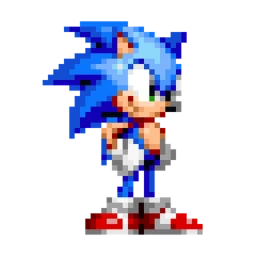 survial a sonic icon