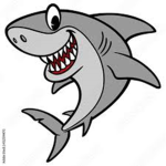 SharkBoy Fan Club!