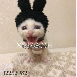 XYBRGOTH