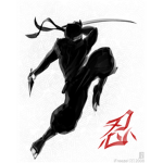 ninja's of the night 01